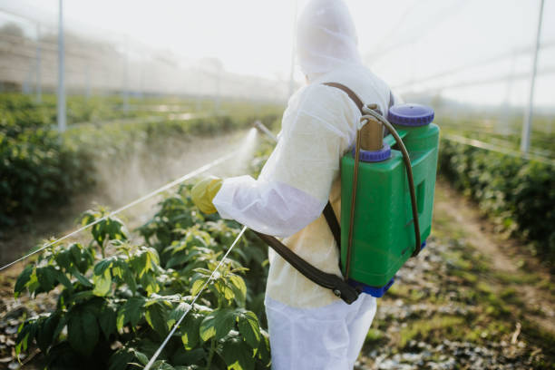 Best Best Pest Control Companies  in Linda, CA